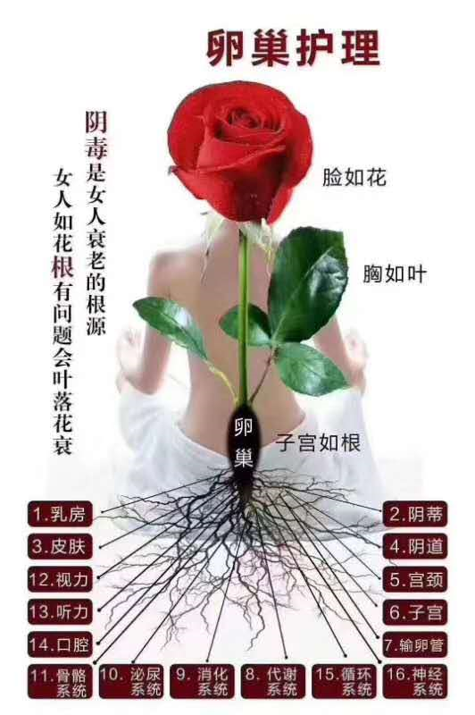 1600044537122436.png image.png