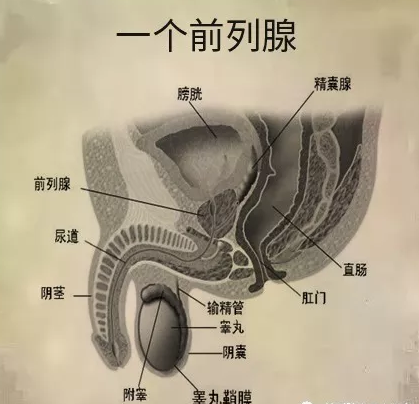 1590127509321871.png image.png