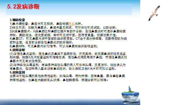 图片13.png